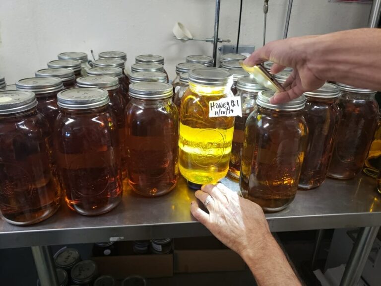 Read more about the article thc distillate pure